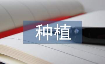 高寒地區(qū)青稞有機(jī)種植栽培技術(shù)