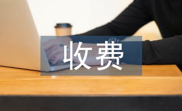 收費自查報告