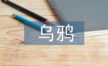 小烏鴉愛(ài)媽媽教學(xué)反思