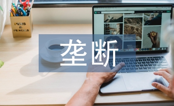 網(wǎng)絡(luò)經(jīng)濟(jì)壟斷