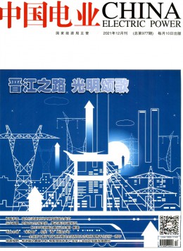 中國電業(yè)·技術版