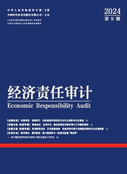 經(jīng)濟責(zé)任審計